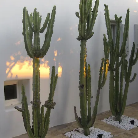 Joy By Mykonos Pearls Villa